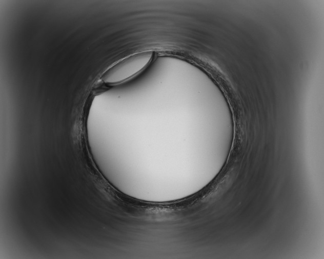 X0000087511073200705251614