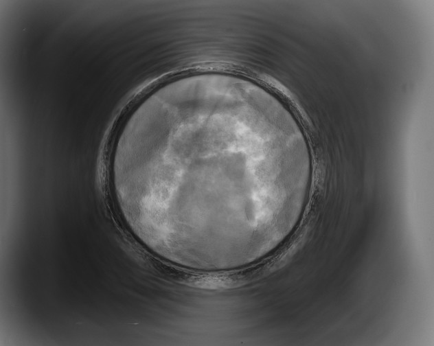 X0000087511074200705251614