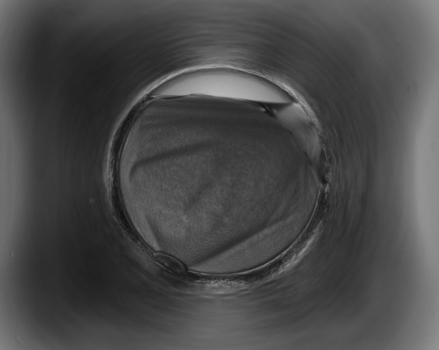 X0000087511077200705251614