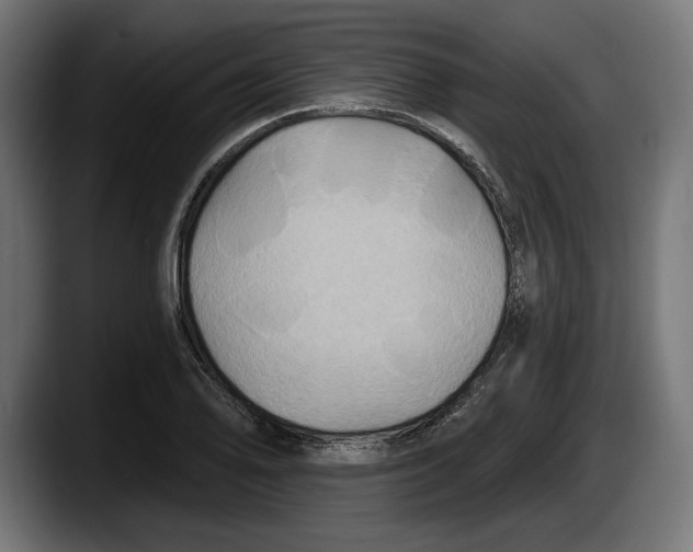 X0000087511078200705251614