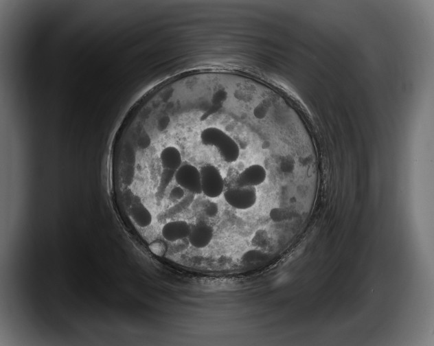 X0000087511079200705251614