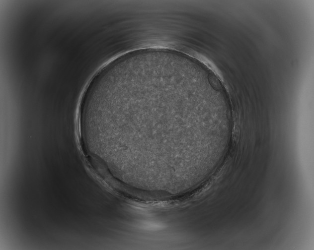 X0000087511080200705251614