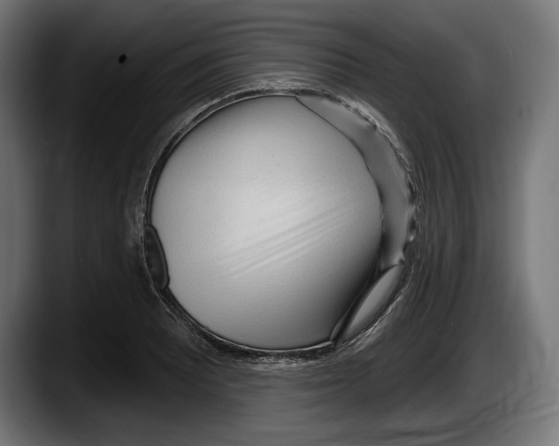 X0000087511081200705251614