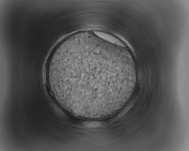 X0000087511083200705251614