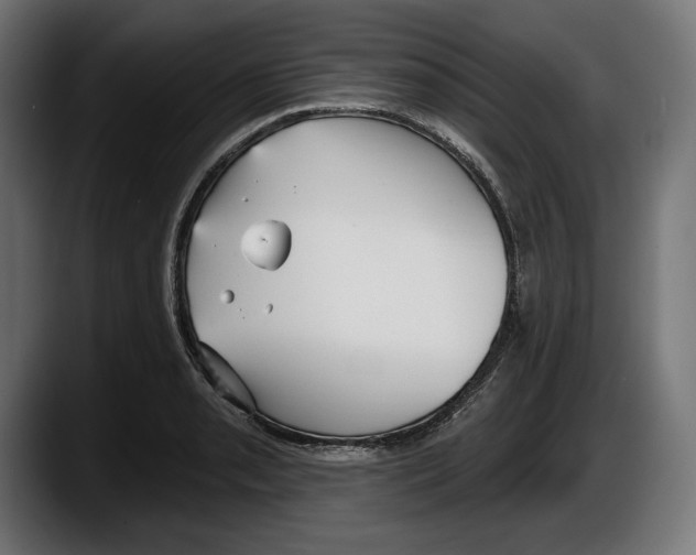 X0000087511085200705251614