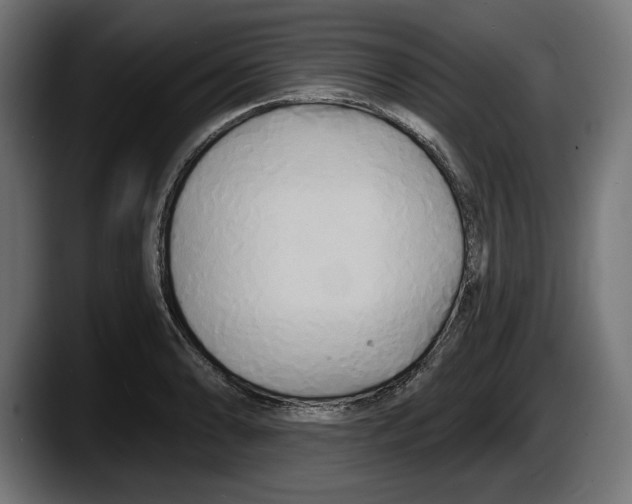 X0000087511086200705251614