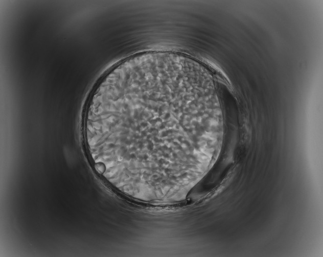 X0000087511087200705251614