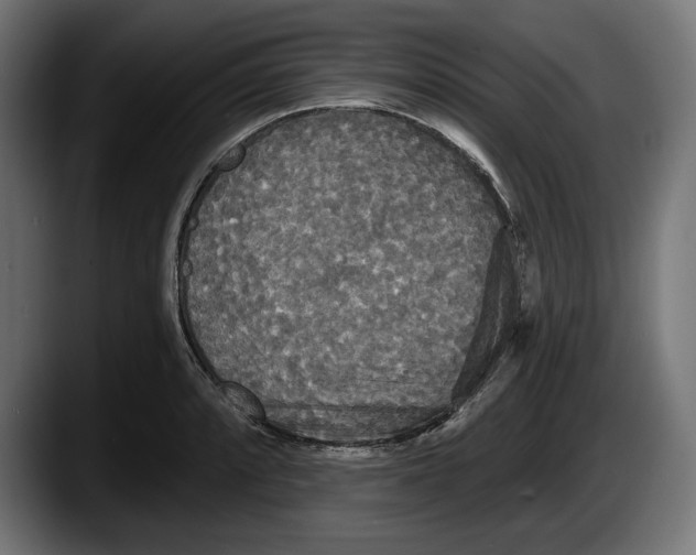 X0000087511088200705251614