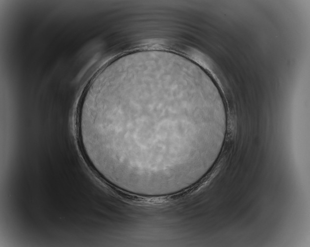 X0000087511090200705251614