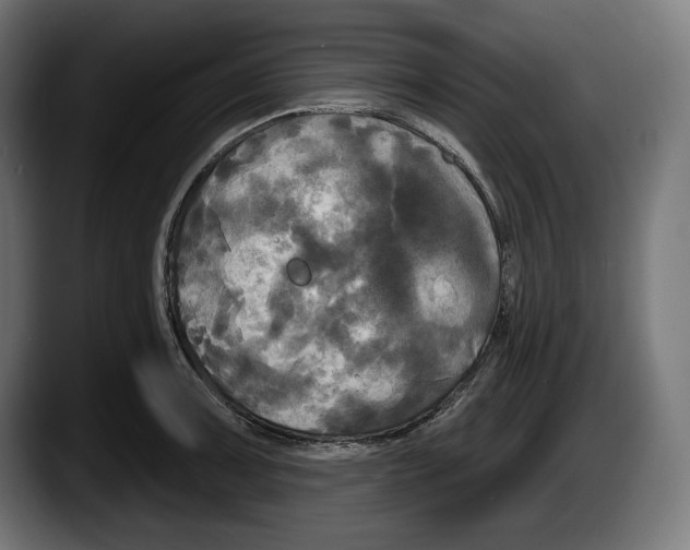 X0000087511091200705251614