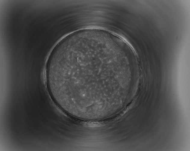 X0000087511092200705251614