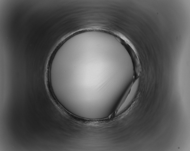 X0000087511093200705251614