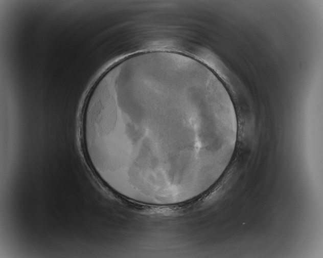 X0000087511094200705251614