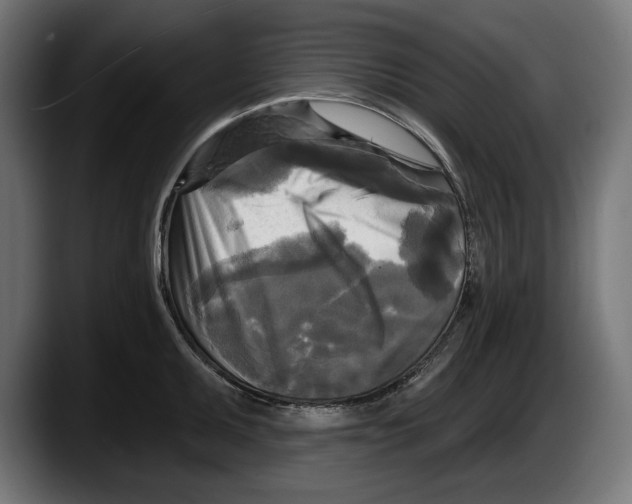 X0000087511095200705251614