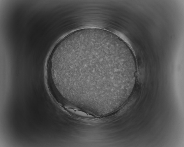 X0000087511096200705251614