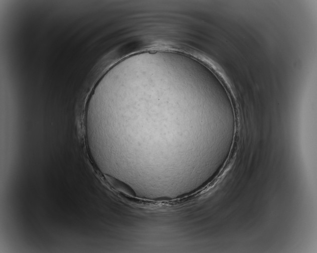 X0000087511097200705251614