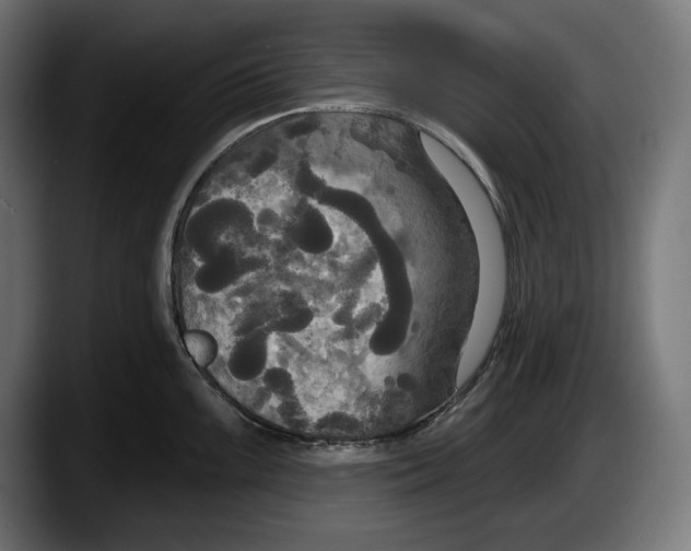 X0000087511099200705251614