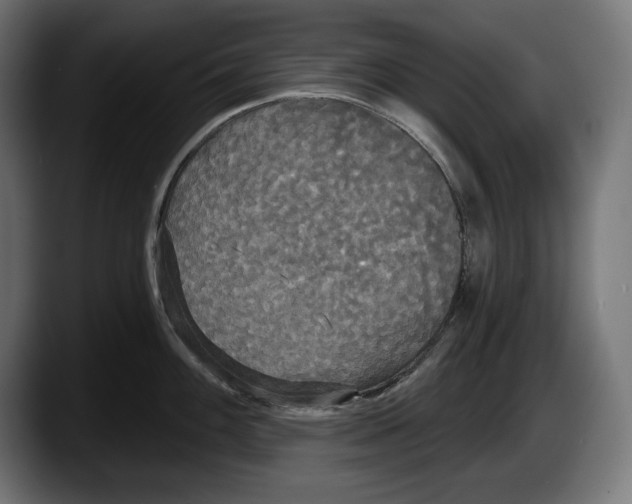 X0000087511100200705251614