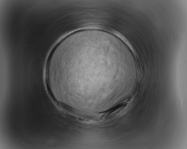 X0000087511101200705251614