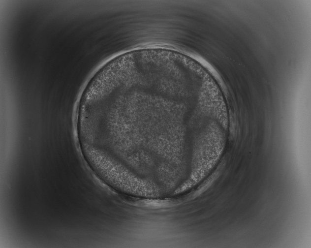 X0000087511102200705251614