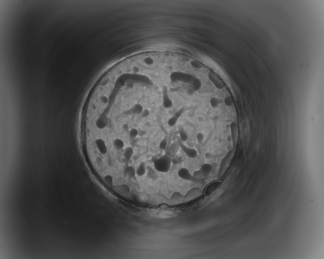 X0000087511103200705251614