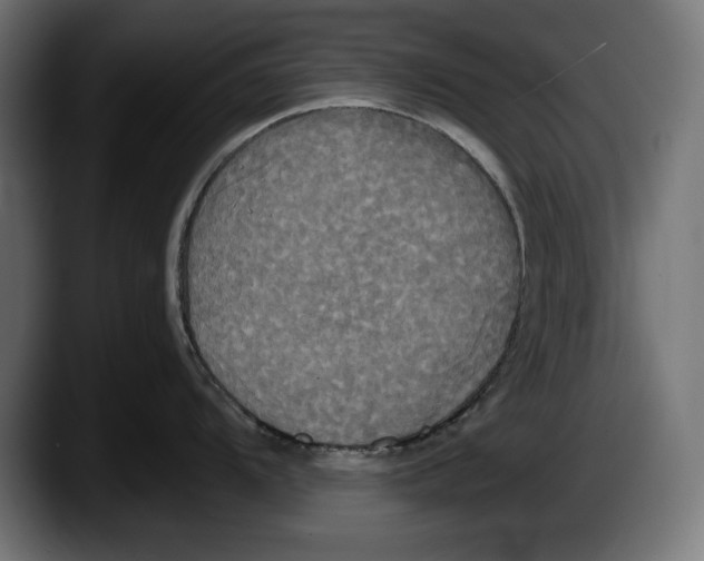 X0000087511104200705251614