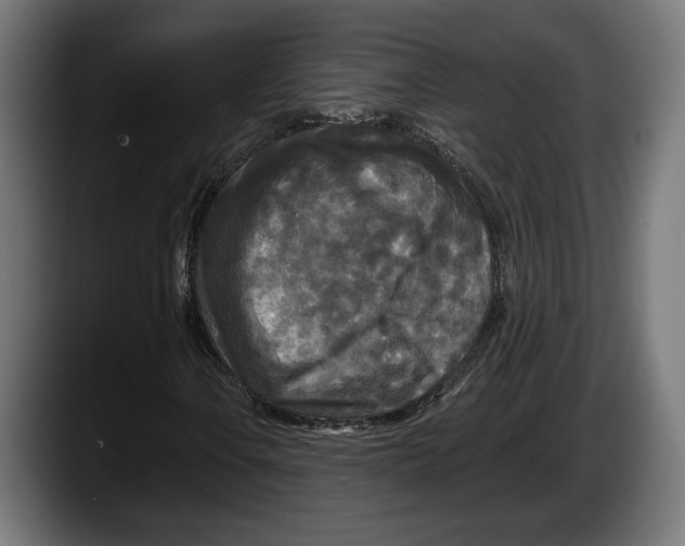 X0000087511106200705251613