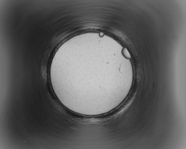 X0000087511113200705251613