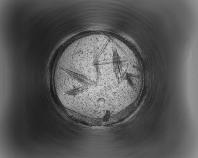 X0000087511114200705251613