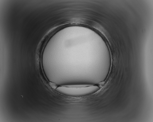 X0000087511115200705251613