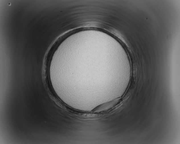 X0000087511116200705251613