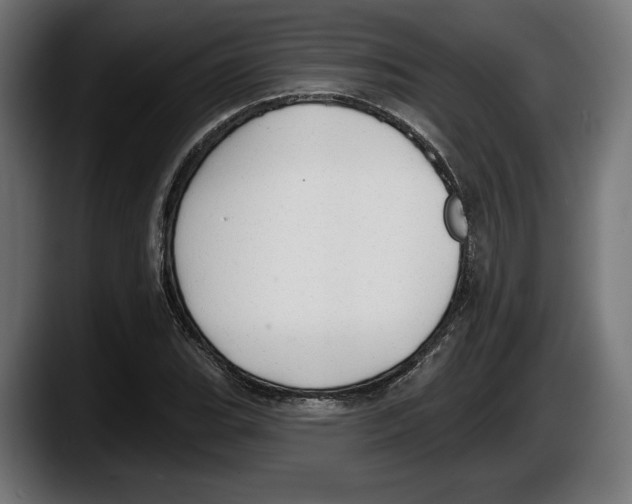 X0000087511119200705251613