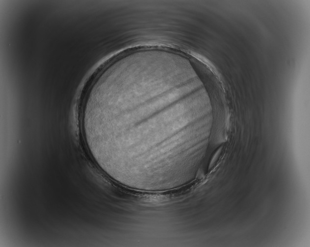 X0000087511120200705251613