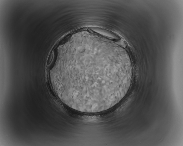 X0000087511121200705251613