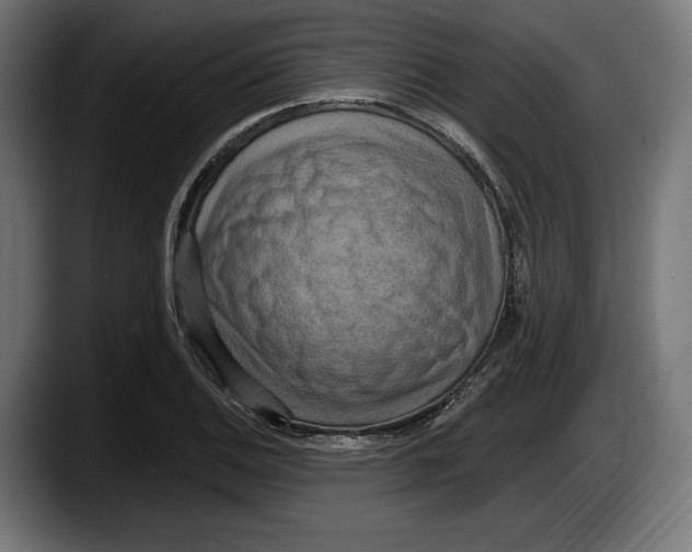 X0000087511124200705251613