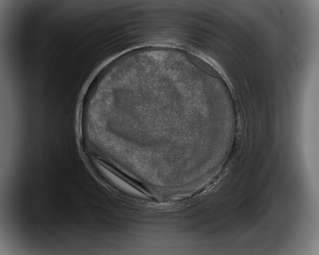 X0000087511128200705251613