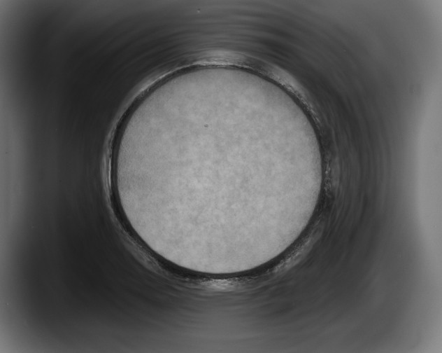 X0000087511130200705251613