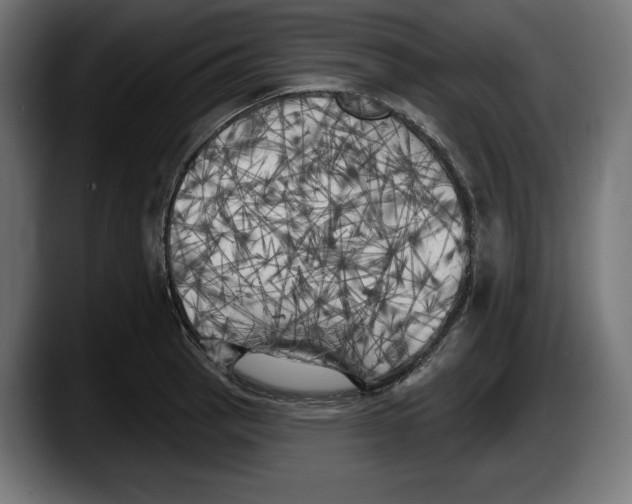 X0000087511137200705251613