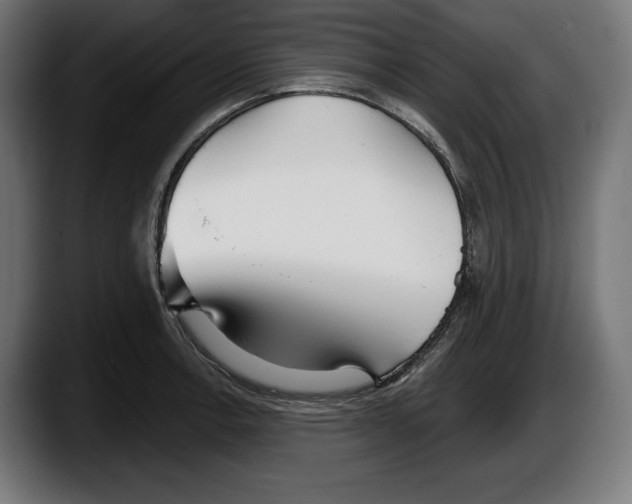 X0000087511138200705251613