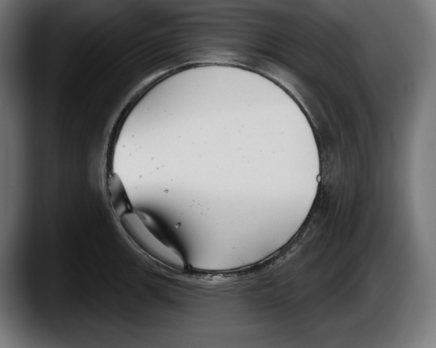 X0000087511139200705251613