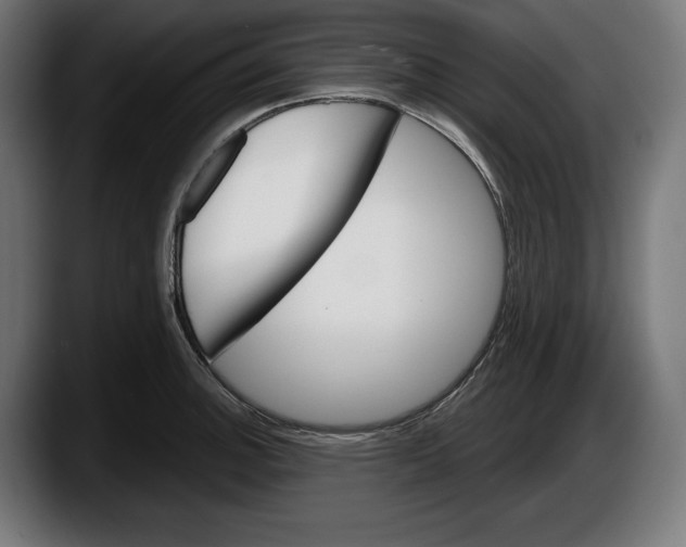 X0000087511140200705251613