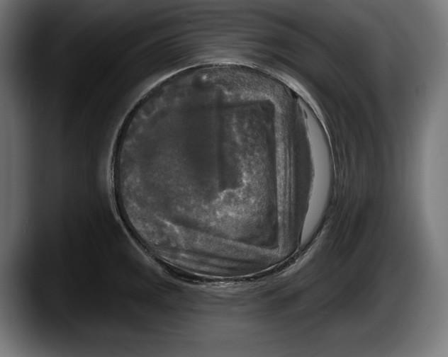 X0000087511141200705251613