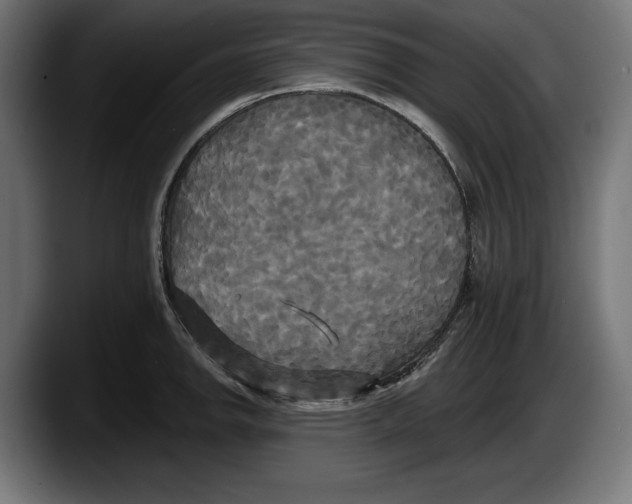 X0000087511142200705251613