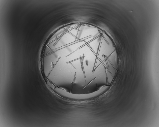 X0000087511143200705251613