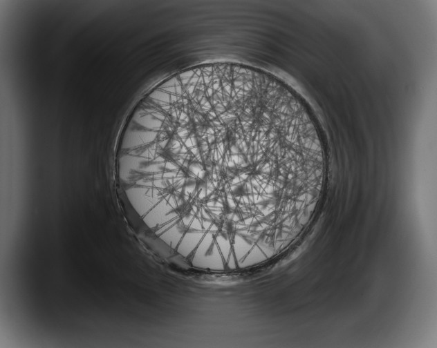 X0000087511145200705251613