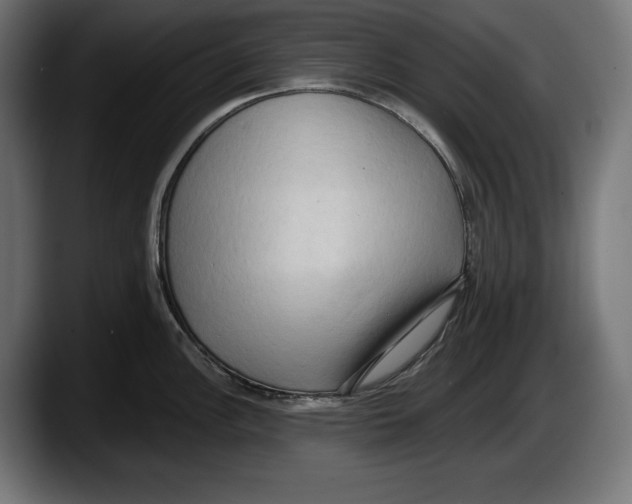 X0000087511148200705251614