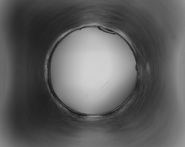 X0000087511151200705251614