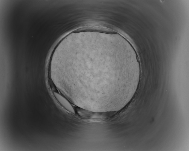 X0000087511152200705251614