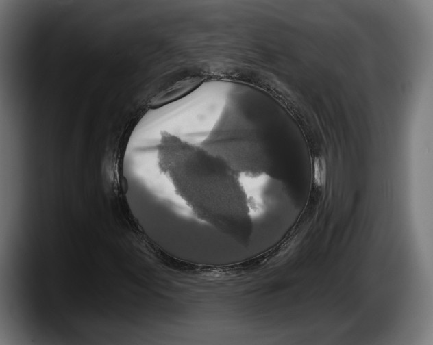 X0000087511155200705251613