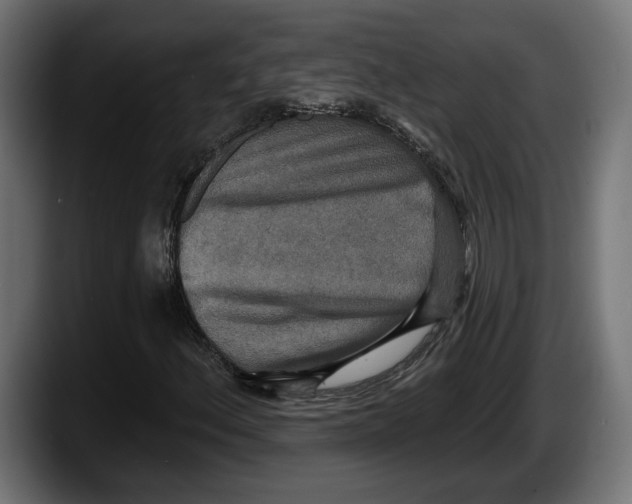 X0000087511156200705251613